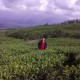 Firdaus Deni Febriansyah