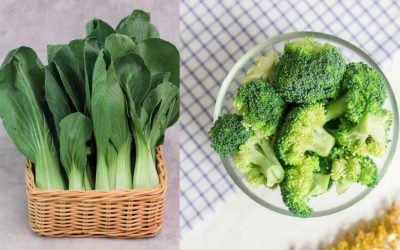 Ragam Manfaat Sayuran Segar Bagi Kesehatan